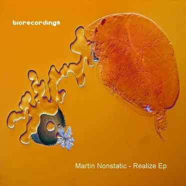Realize EP by Martin Nonstatic - album cover