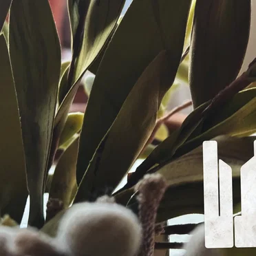 ᴀɴᴅ sᴏ ᴏɴ ᴀɴᴅ ᴏɴ