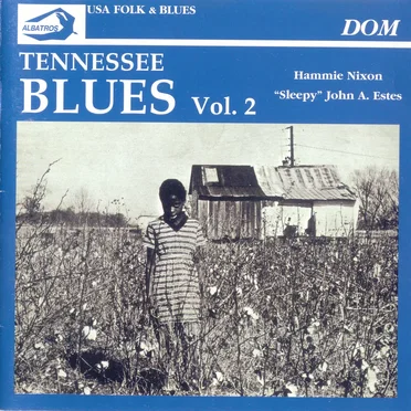Tennessee Blues Vol.2
