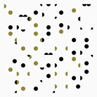 Steve Gunn artist image