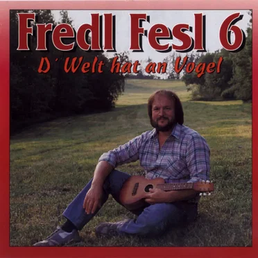 Fredl Fesl 6: D’ Welt hat an Vogel
