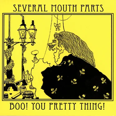 Boo! You Pretty Thing! by Several Mouth Parts - album cover