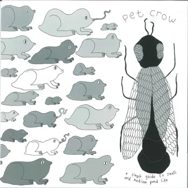 A Simple Guide to Small and Medium Pond Life