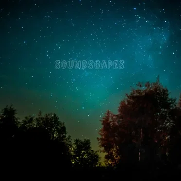 Soundscapes by The Monk by the Sea - album cover