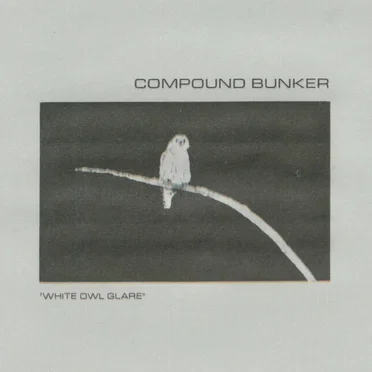 White Owl Glare by Compound Bunker - album cover