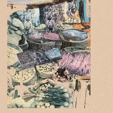 Sun Into Flies by Joyer - album cover