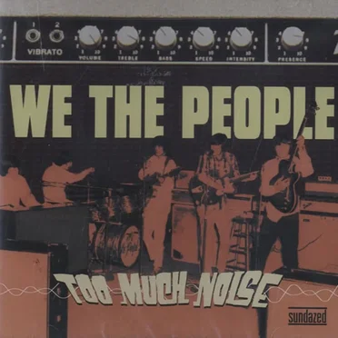 Too Much Noise