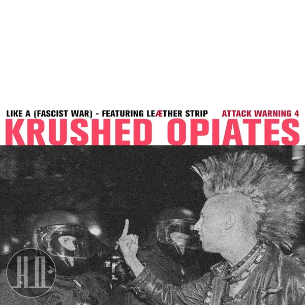 (Like) A Fascist War