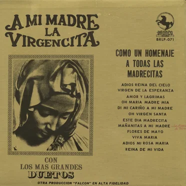 A mi madre la virgencita by Various Artists - album cover