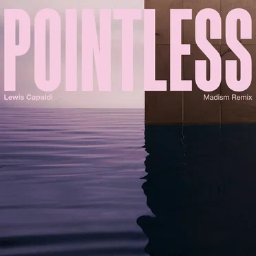 Pointless (Madism remix)