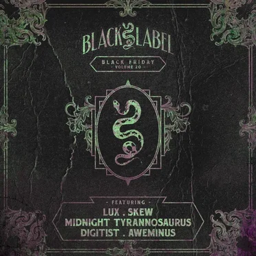 Black Friday, Vol. 20 by Various Artists - album cover