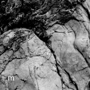 Porphura