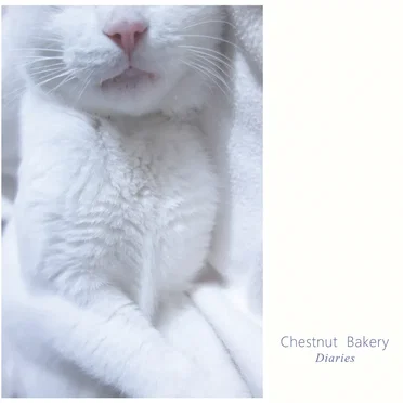 Diaries by Chestnut Bakery - album cover