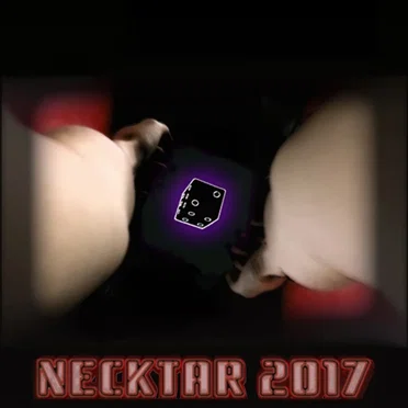Necktar 2017 Volume 2 by Various Artists - album cover