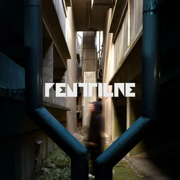 I Wish Somebody Told Me That by Penttilae - album cover