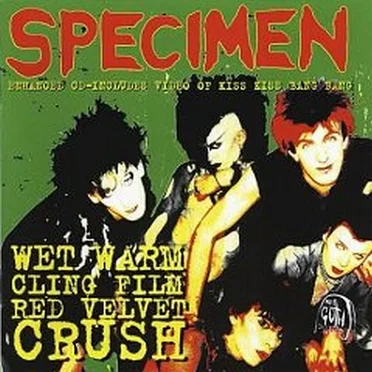 Wet Warm Cling-Film Red Velvet Crush
