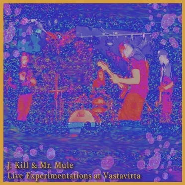 Live Experimentations at Vastavirta