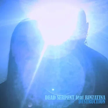 Destruction by Dead Serpent - album cover