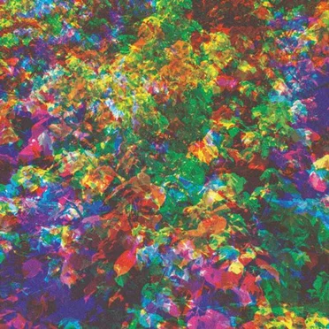 Can’t Do Without You