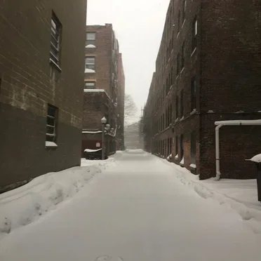 I Slept Through the Snow