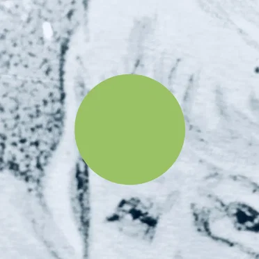 Generic Primitive Detection