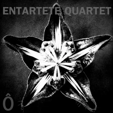 Ô by Entartete Quartet - album cover