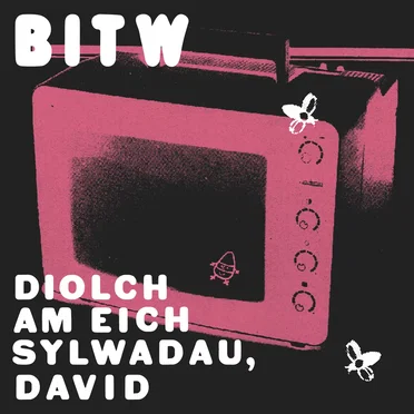 Diolch Am Eich Sylwadau, David