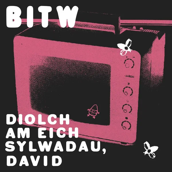 Diolch Am Eich Sylwadau, David