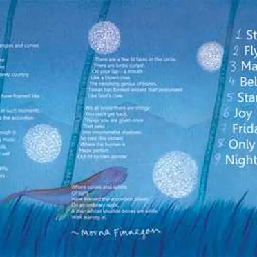 The Ravishing Genius of Bones by Brian Finnegan - album cover