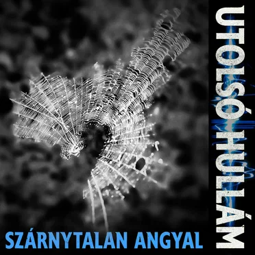 Szárnytalan Angyal by Utolsó Hullám - album cover