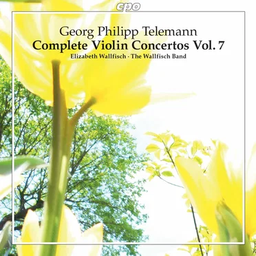 Complete Violin Concertos, Vol. 7