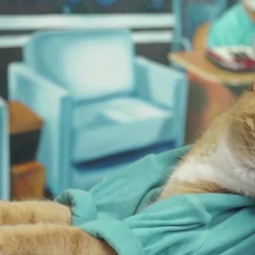 Keyboard Cat 3.0, meet “Skinny”