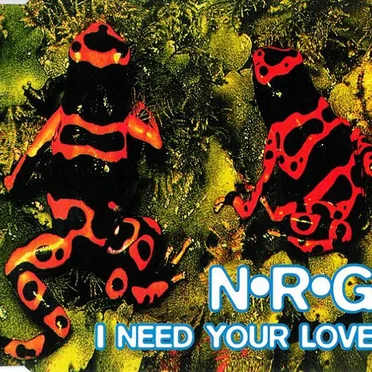 I Need Your Love (Everybody's Got to Learn Sometimes)
