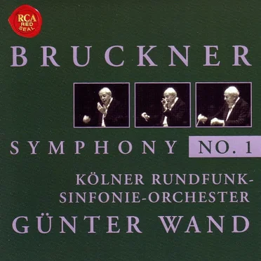 Sinfonie Nr. 1 c-moll