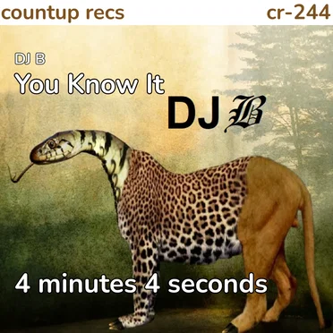 You Know It by DJ B - album cover