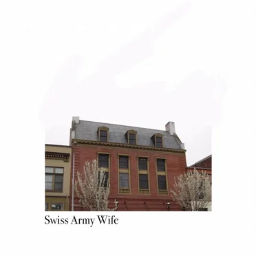 Brick House by Swiss Army Wife - album cover