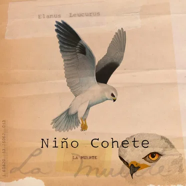 La muerte (single) by Niño Cohete - album cover