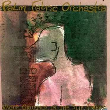 Vague Gropings in the Slip Stream by Palm Fabric Orchestra - album cover