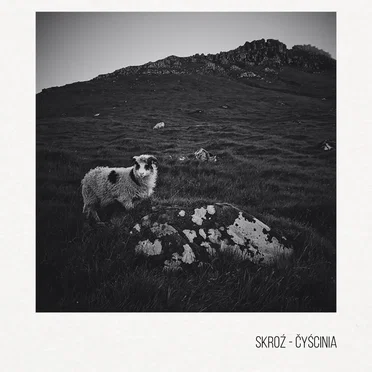 Čyścinia by Skroź - album cover
