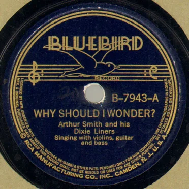 Why Should I Wonder? / In the Pines