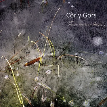 There We Are Then... by Côr y Gors - album cover