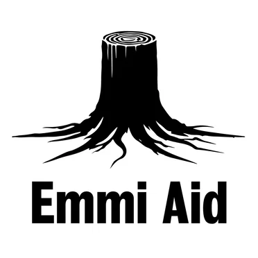 Emmi Aid by Various Artists - album cover