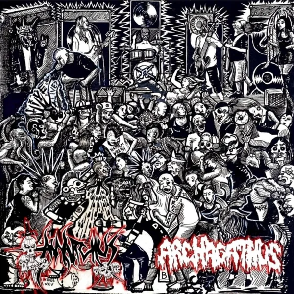 Archagathus/Anarchus Split