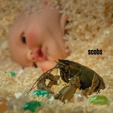 Scobs