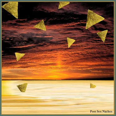 Post Sex Nachos by Post Sex Nachos - album cover