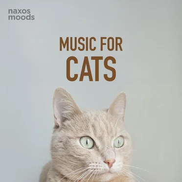 Music for Cats by Various Artists - album cover