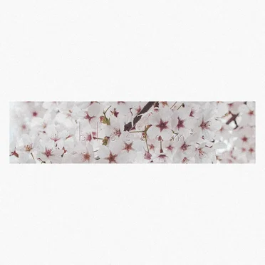 Blossom