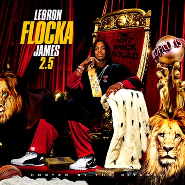 LeBron Flocka James 2.5 by Waka Flocka Flame - album cover