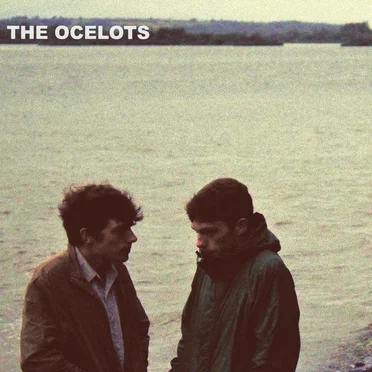 Till We Get There by The Ocelots - album cover