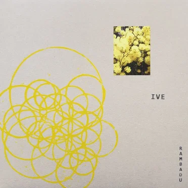 Nueoiwo by Image Visualization Environment - album cover
